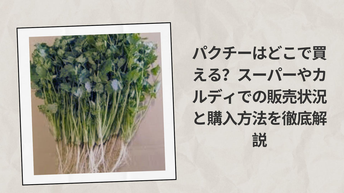 パクチーはどこで買える