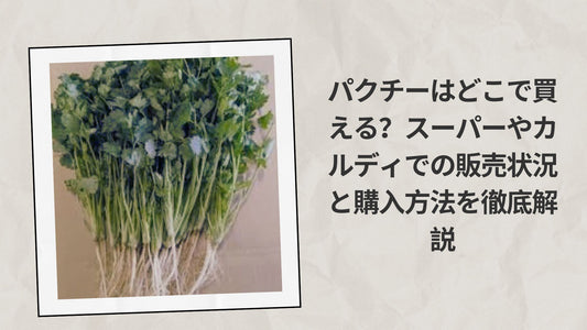 パクチーはどこで買える