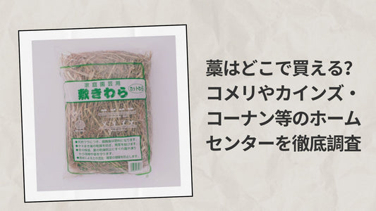 藁はどこで買える